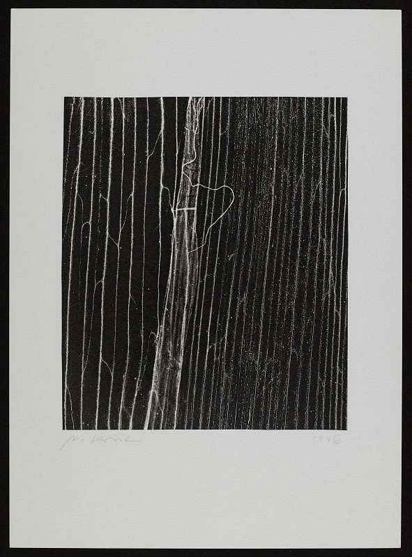 Miroslav Koval – Bez názvu