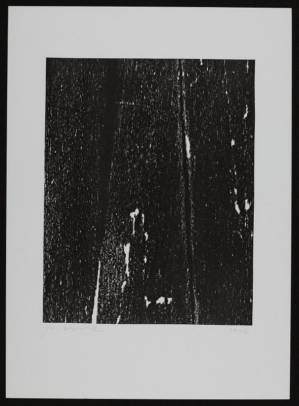 Miroslav Koval – Bez názvu