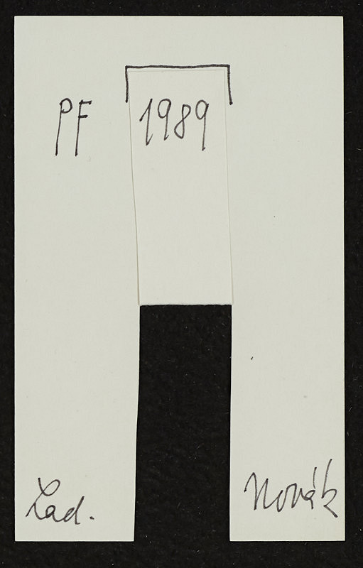 Ladislav Novák – P.F. 1989 