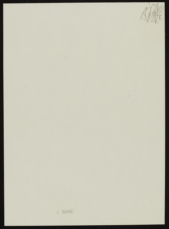 Marian Palla – V rohu 