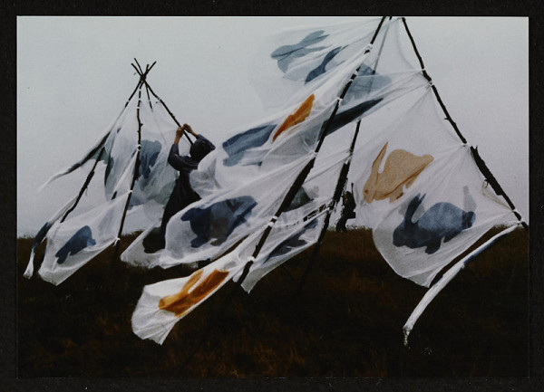 Zorka Ságlová – 40 králíků (v rámci akce Vítr a objekt) 