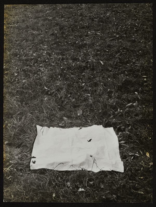 Michal Kern – Stretnutie II. - spomienka 