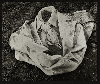 Vilém Reichmann – Sic transit gloria - ze souboru Kouzla 