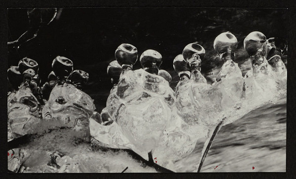 Vilém Reichmann – Sudičky - ze souboru Hibernalie