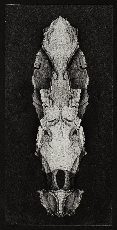 Michal Resl – Bez názvu 