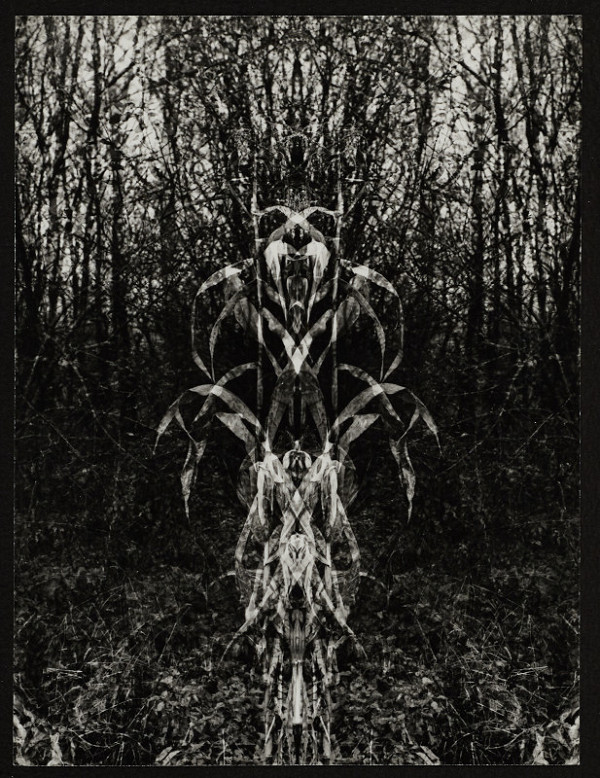 Michal Resl – Bez názvu 