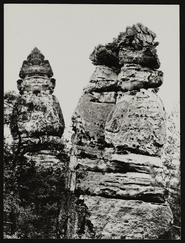 Michal Resl – Bez názvu