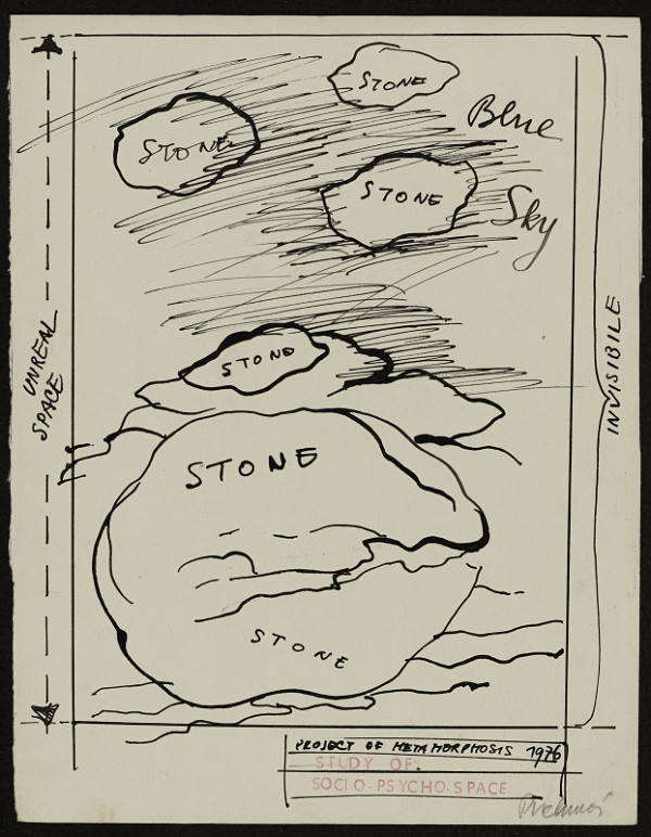 Dana Puchnarová – Project of Metamorphosis