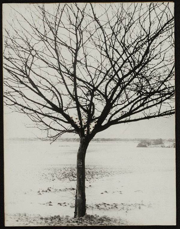 Dezider Tóth – Iluminácia akupunktúrou 