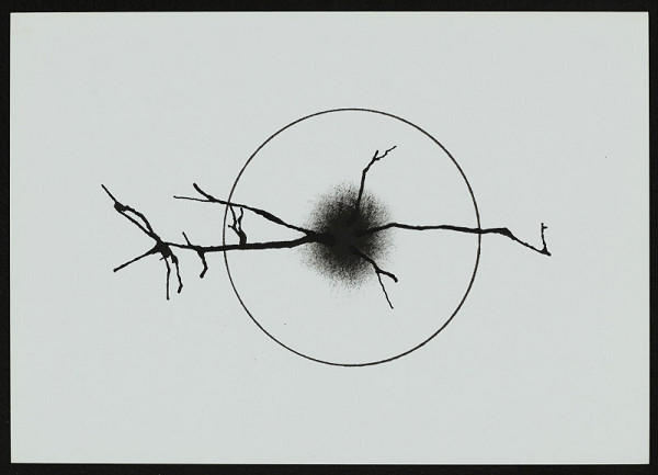 Zdeněk Štajnc – Bez názvu