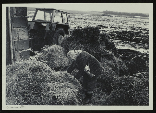 Jindřich Štreit – bez názvu 
