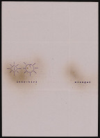 Milan Langer – Lady-bird 