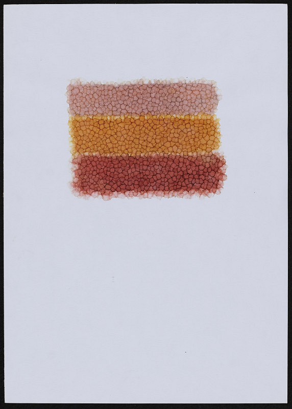 Dagmar Lasotová – Haiku (v řádu)