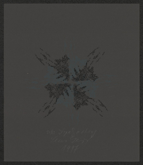 Lena Lešková-Bubánová – Dopady a Odrazy 