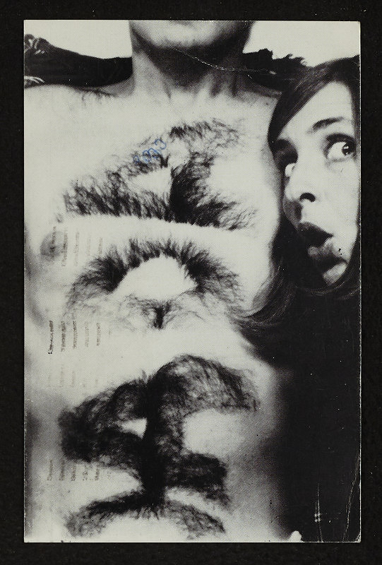 Anna Banana – Announcing VILE Vol. 1 No. 2, Vol. 2 No. 2 