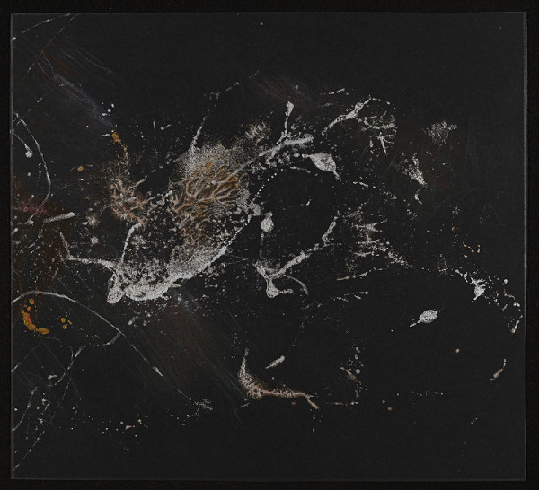 Ludmila Padrtová – Delfíní jízda 