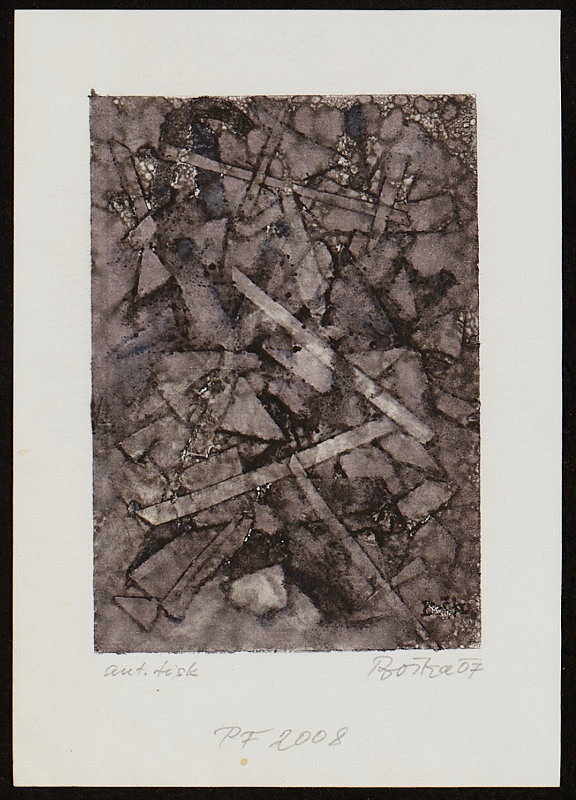 Jindřich Boška – PF 2008 