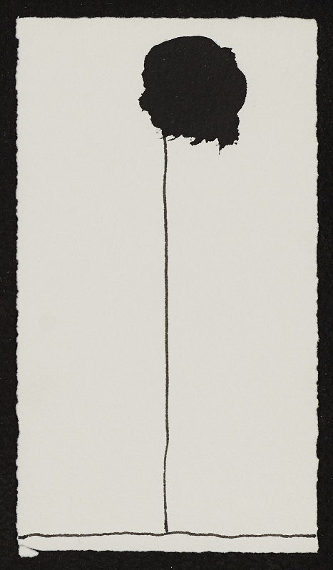 Miloš Cvach – Bez názvu