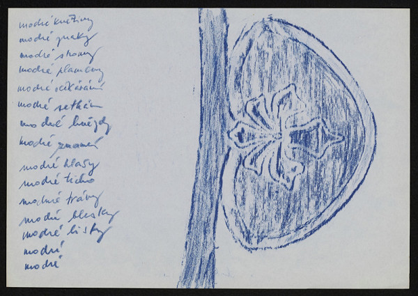 Jiří Valoch – modré květiny 