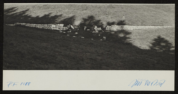 Jiří Dostál – PF 1988 