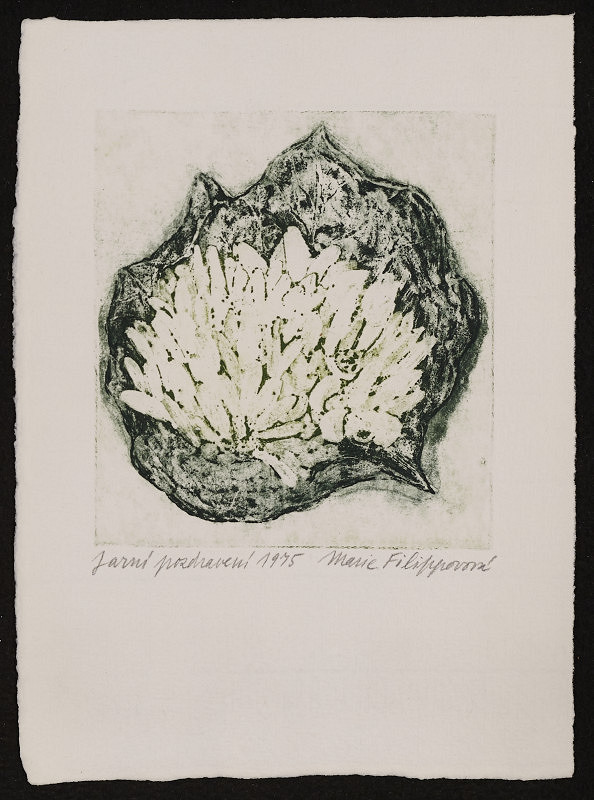 Marie Filippovová – Jarní pozdravení