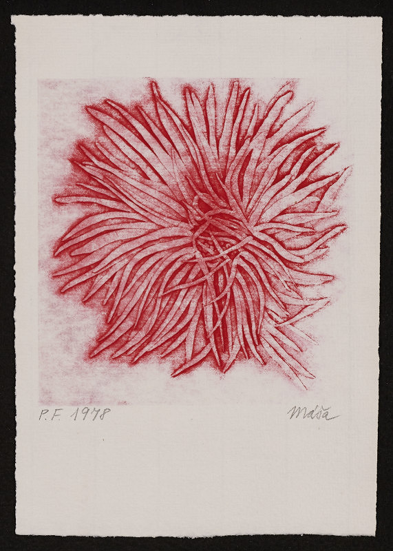 Marie Filippovová – PF 1978 