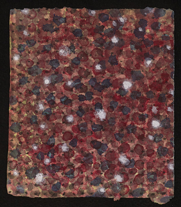 Marie Filippovová – PF 2006 