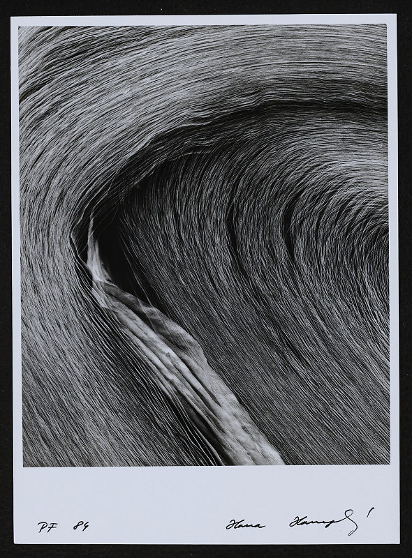 Hana Hamplová – Pf 1984