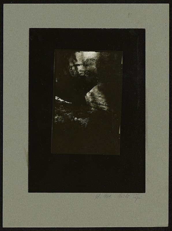 Miloš Šejn – PF 1979 