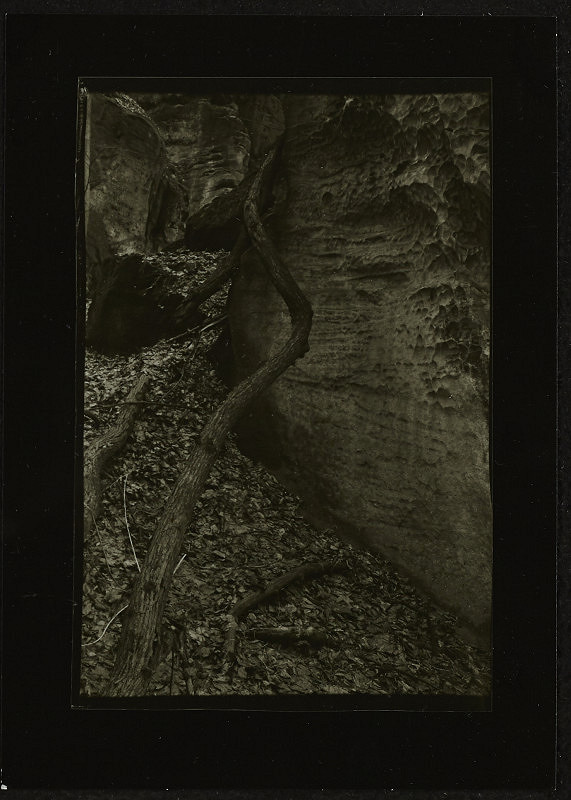 Miloš Šejn – PF 1982 