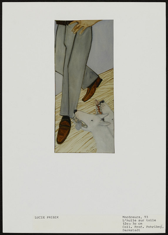 Lucie Přibíková – Výběr fotografií obrazů a objektů z let 1988-1994