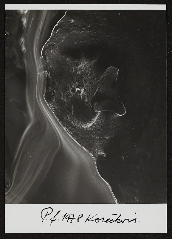 Miloš Koreček – PF 1978 