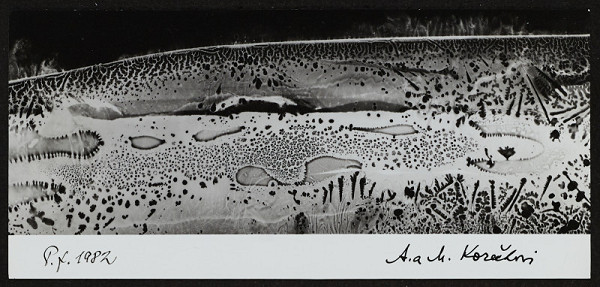 Miloš Koreček – PF 1982 