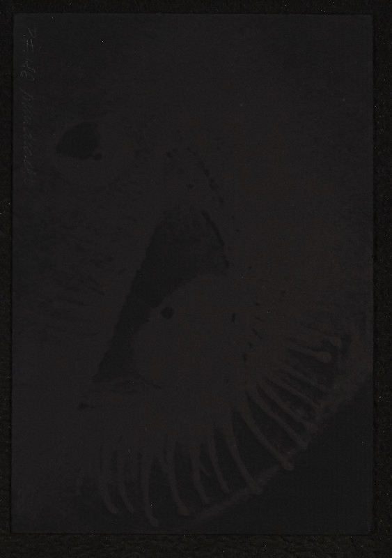 Marián Mudroch – PF 1986 