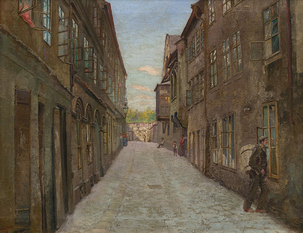 Jan Minařík – Pohled do Pinkasovy ulice 