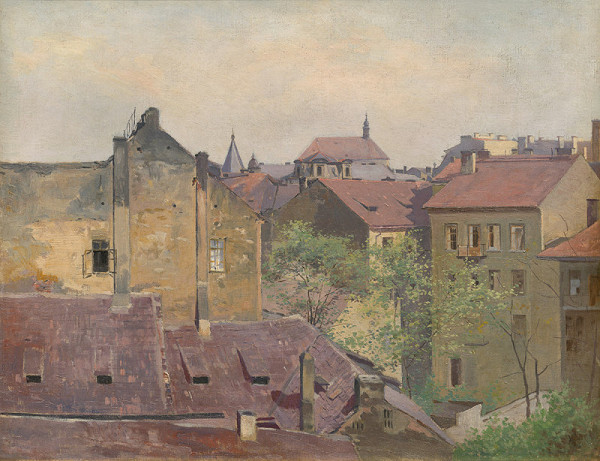 Václav Jansa – Pohled na střechy Nového Města v okolí Lazarské ulice 