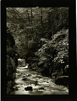 Petr Helbich – Bez názvu 