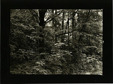 Petr Helbich – Bez názvu 