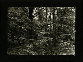 Petr Helbich – Bez názvu 