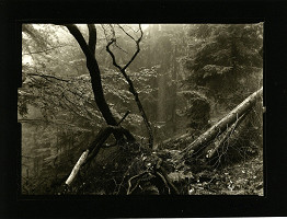 Petr Helbich – bez názvu 