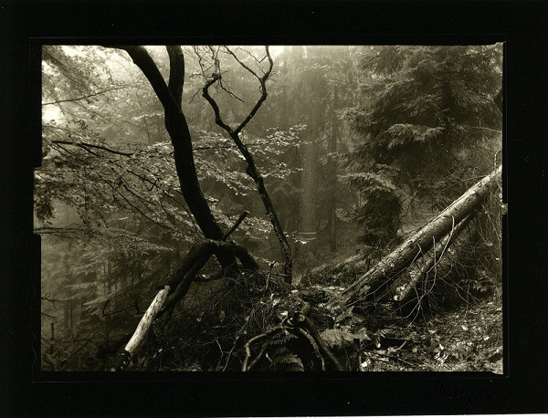 Petr Helbich – bez názvu