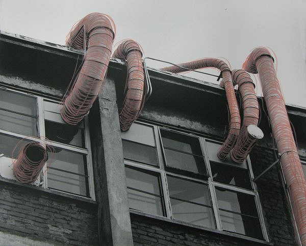 Veronika Zapletalová – z cyklu Rourouni 