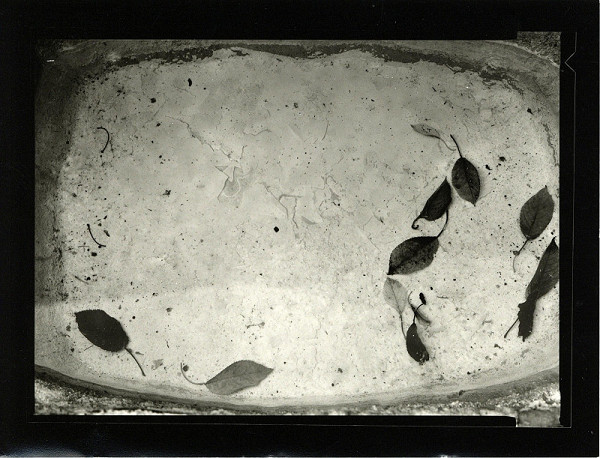 Petr Zinke – bez názvu (PF 2008) 