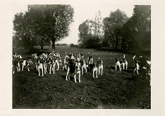 Rudolf Bruner-Dvořák – Smečka psů 