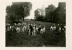 Rudolf Bruner-Dvořák – Smečka psů 