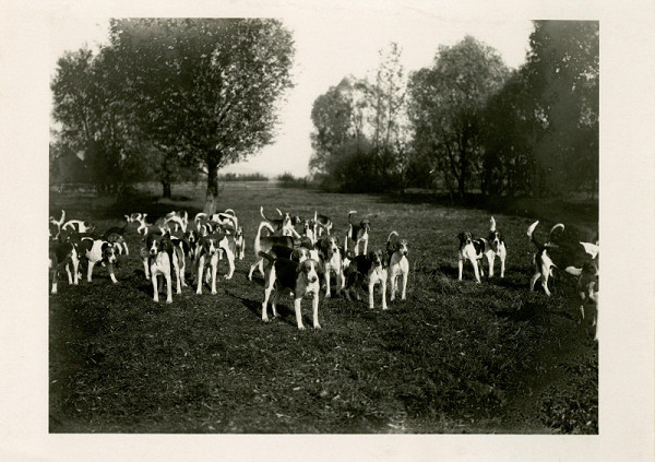 Rudolf Bruner-Dvořák – Smečka psů 