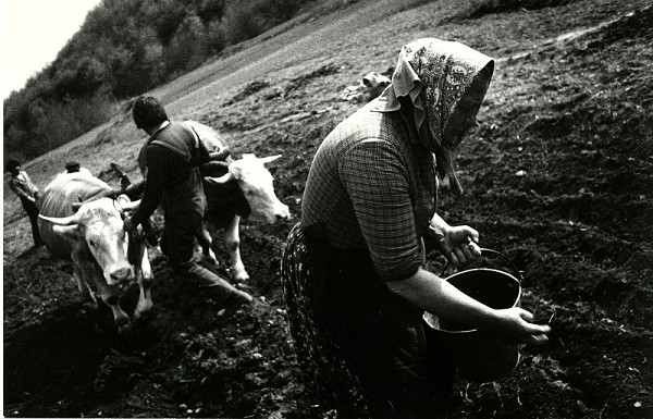 Marián Krlička – Z cyklu Hačavský chlieb 