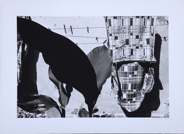 Miroslav Machotka – bez názvu 