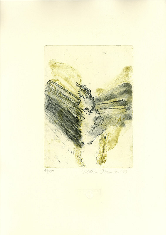 Adriena Šimotová – Osmý sen R. M. Rilka 