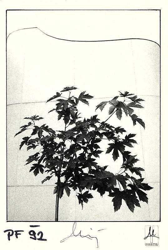 Miloš Uhlíř – PF ´92 